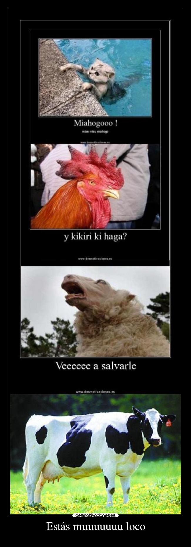 Estás muuuuuuu loco -