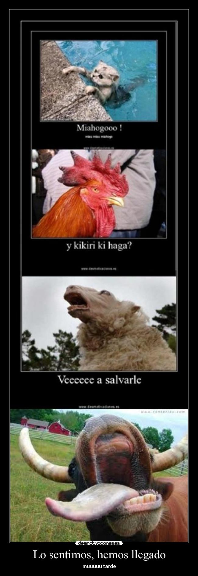 Lo sentimos, hemos llegado -