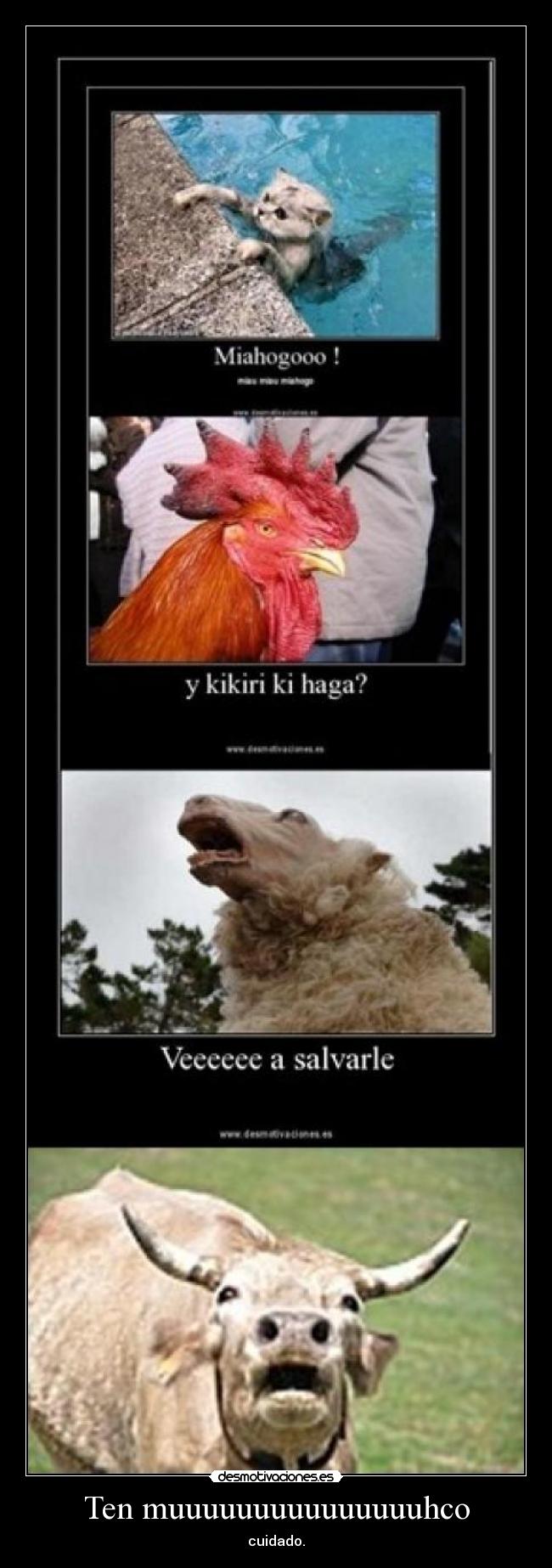 Ten muuuuuuuuuuuuuuuhco -