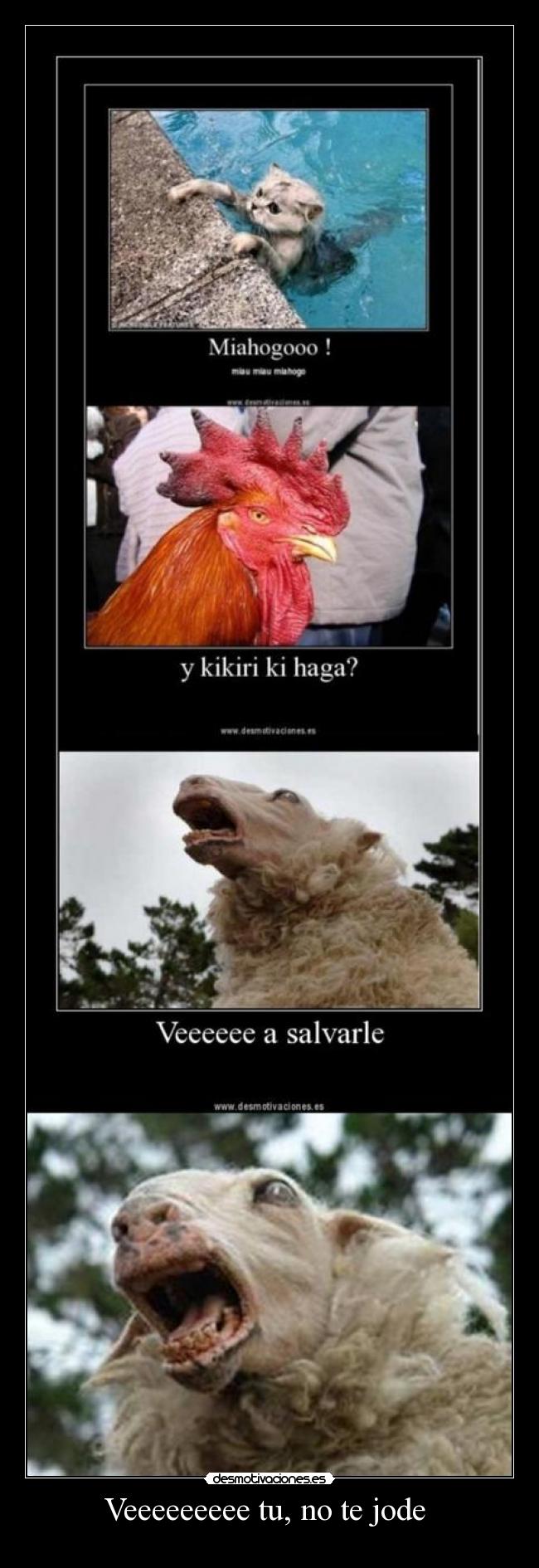 Veeeeeeeee tu, no te jode  - 