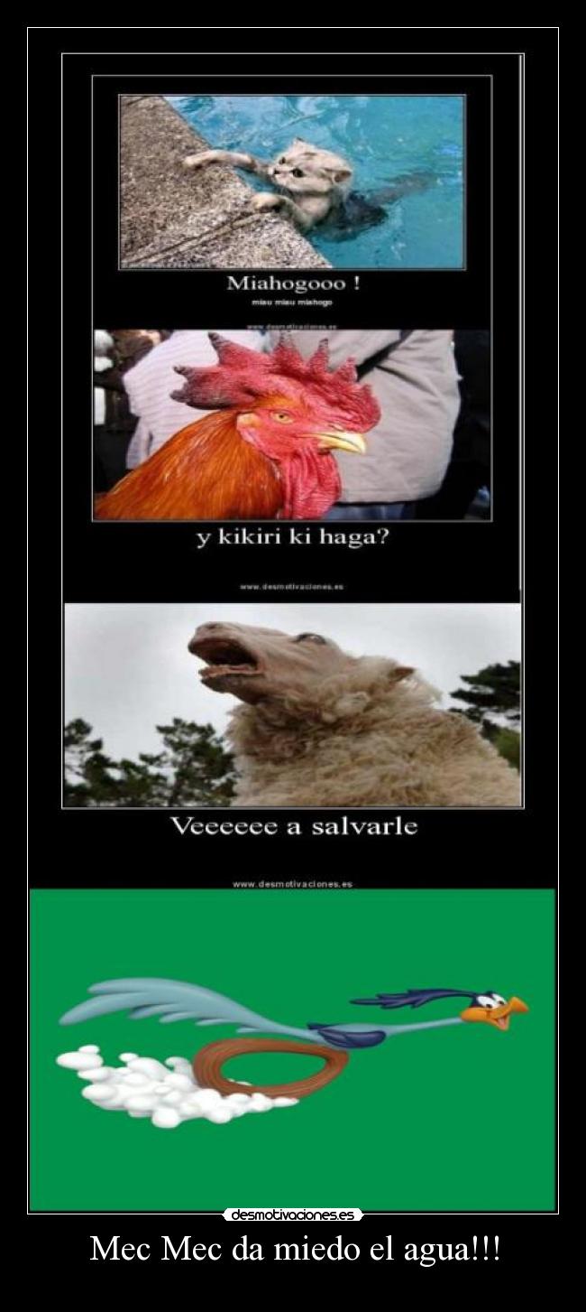 Mec Mec da miedo el agua!!! -