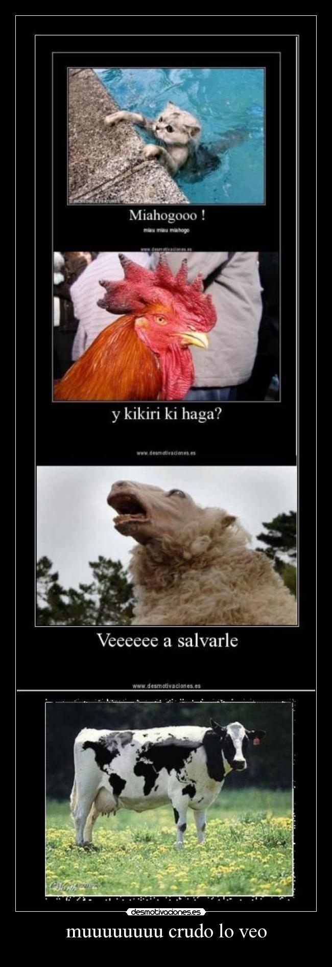 muuuuuuuu crudo lo veo -