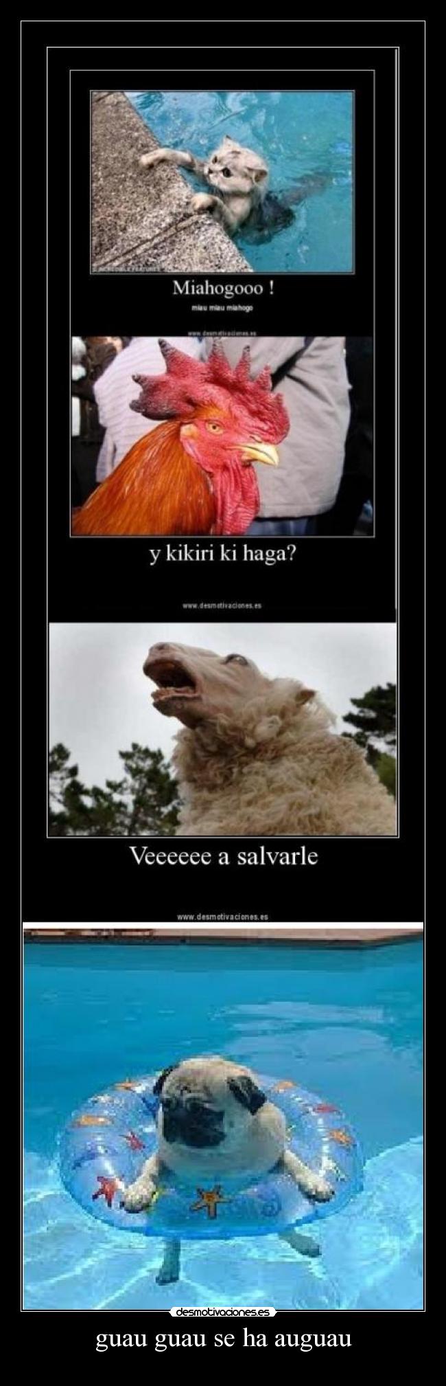 carteles perro chiste gatosahogado desmotivaciones