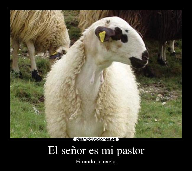 El señor es mi pastor -