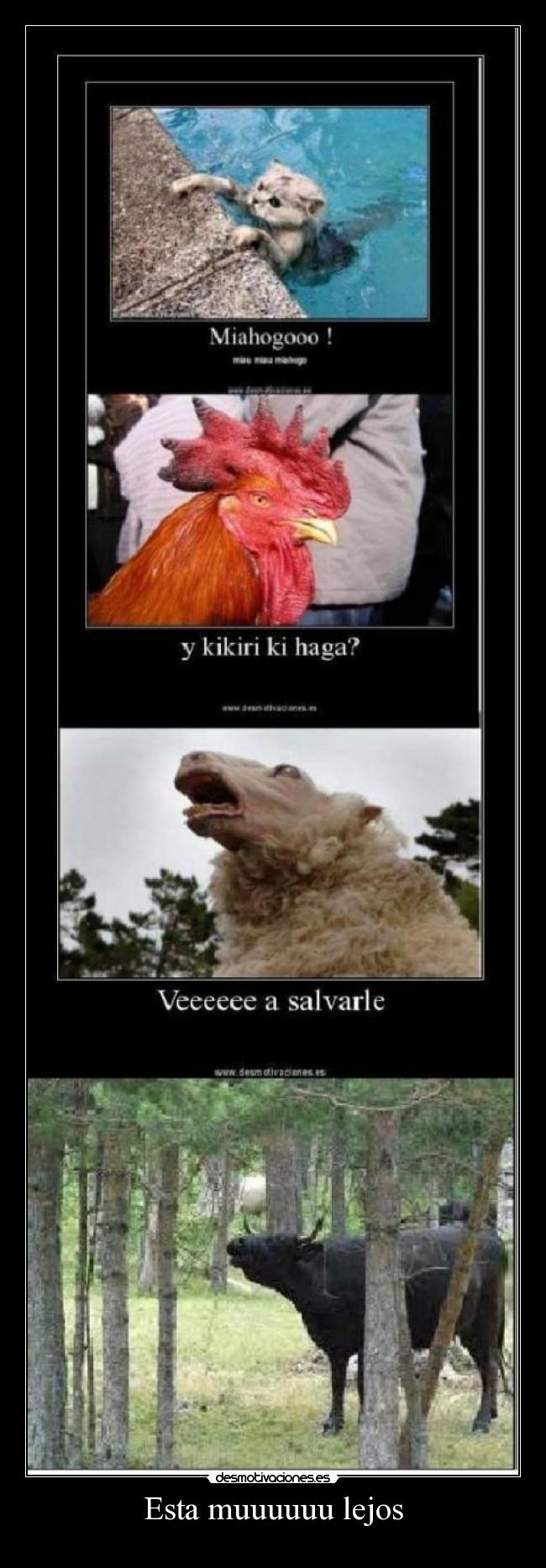 Esta muuuuuu lejos -