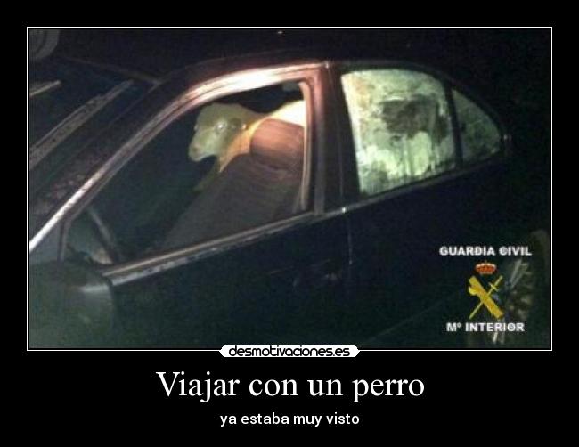 carteles viajar desmotivaciones