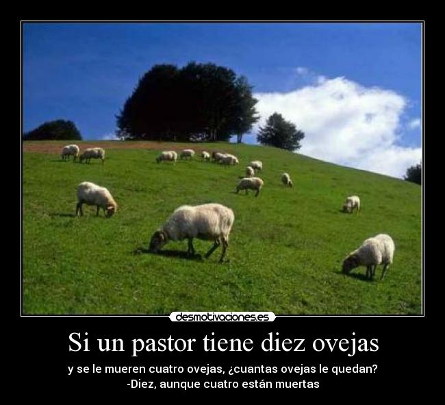 Si un pastor tiene diez ovejas - 