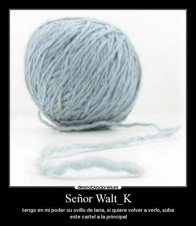 Señor Walt_K -