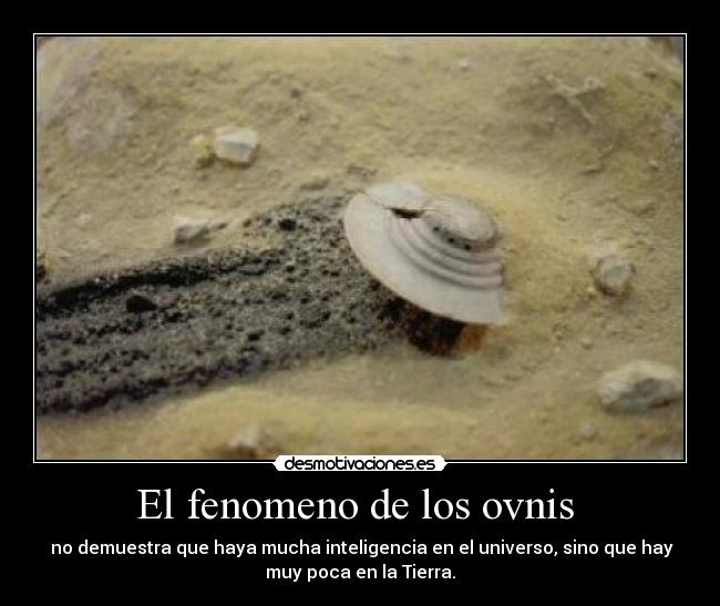 El fenomeno de los ovnis - no demuestra que haya mucha inteligencia en el universo, sino que hay
muy poca en la Tierra.