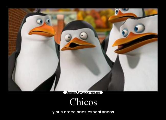 carteles cabo desmotivaciones