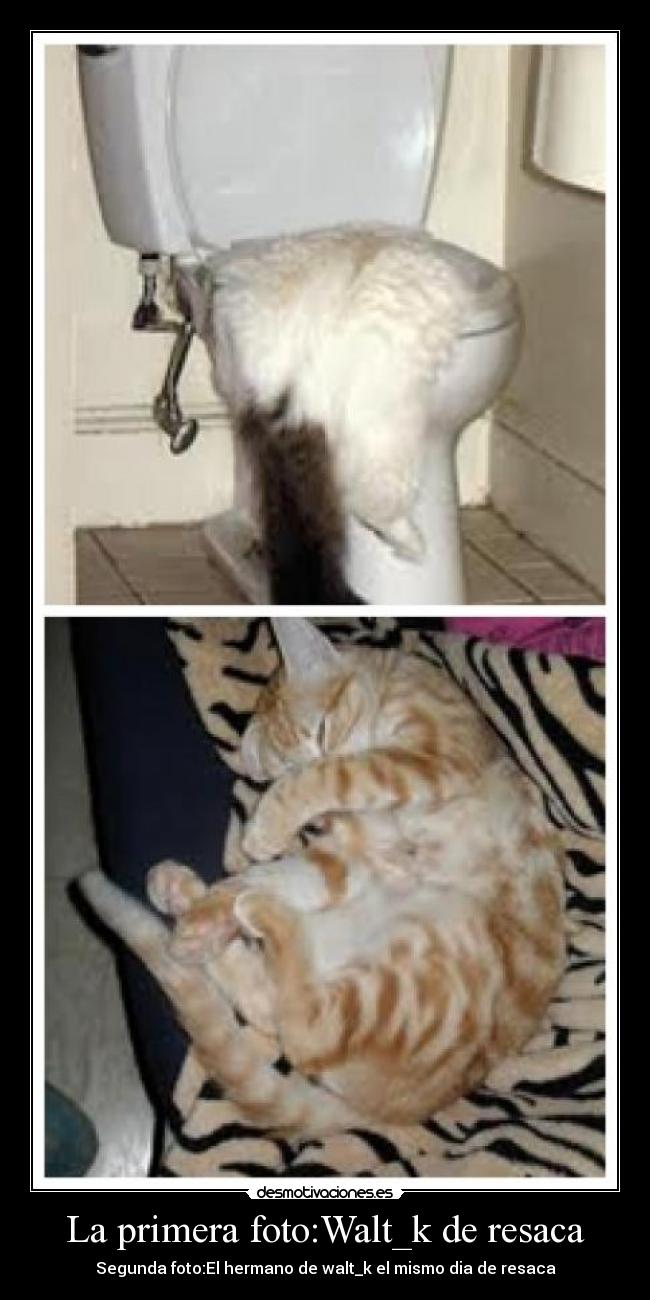 La primera foto:Walt_k de resaca -