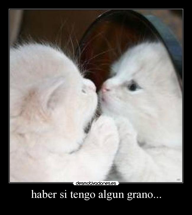 carteles desmotivaciones