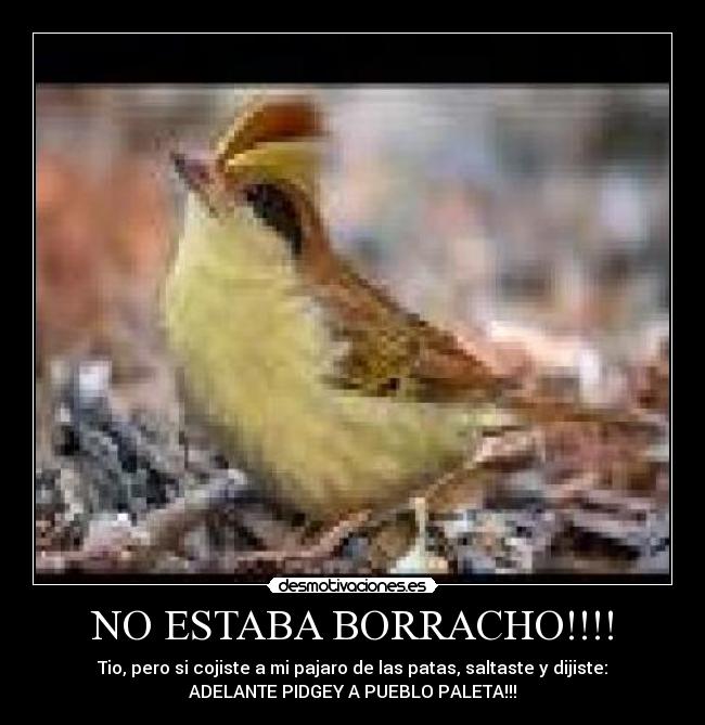 NO ESTABA BORRACHO!!!! -