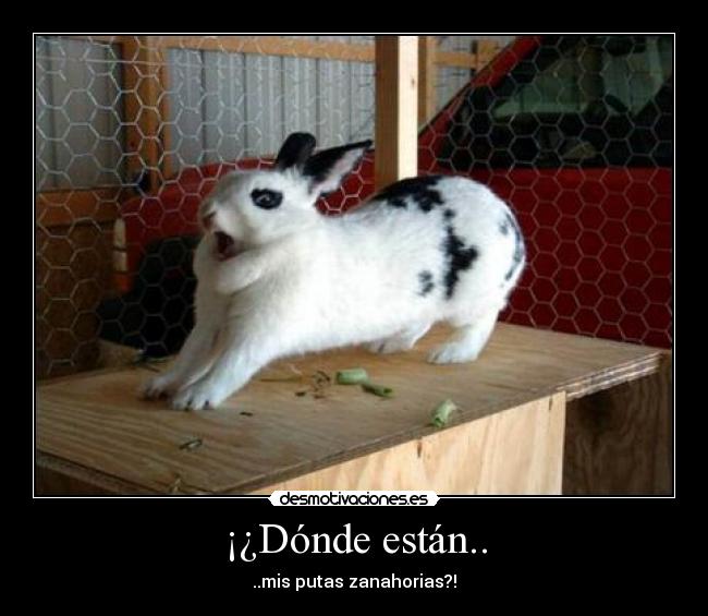 ¡¿Dónde están.. - ..mis putas zanahorias?!