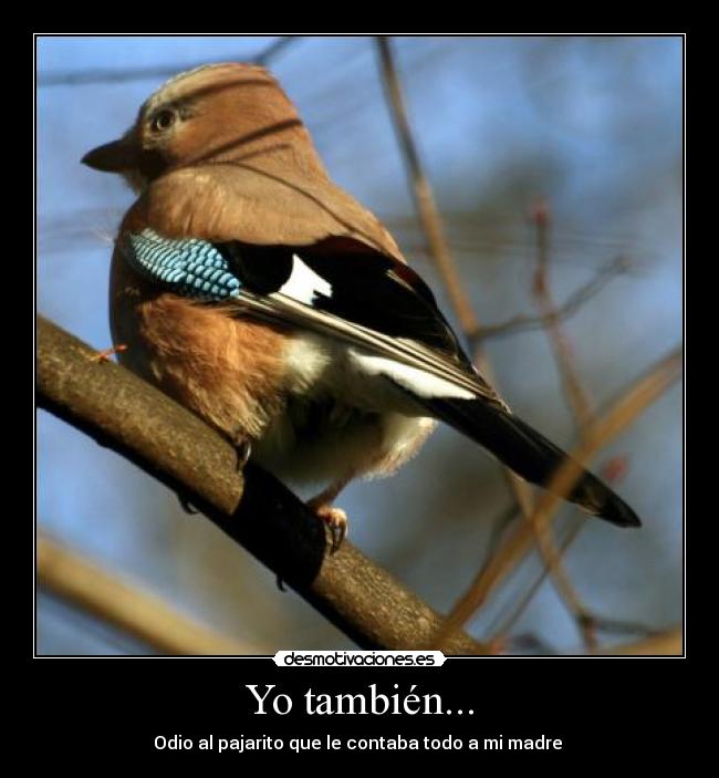 Yo también... - 