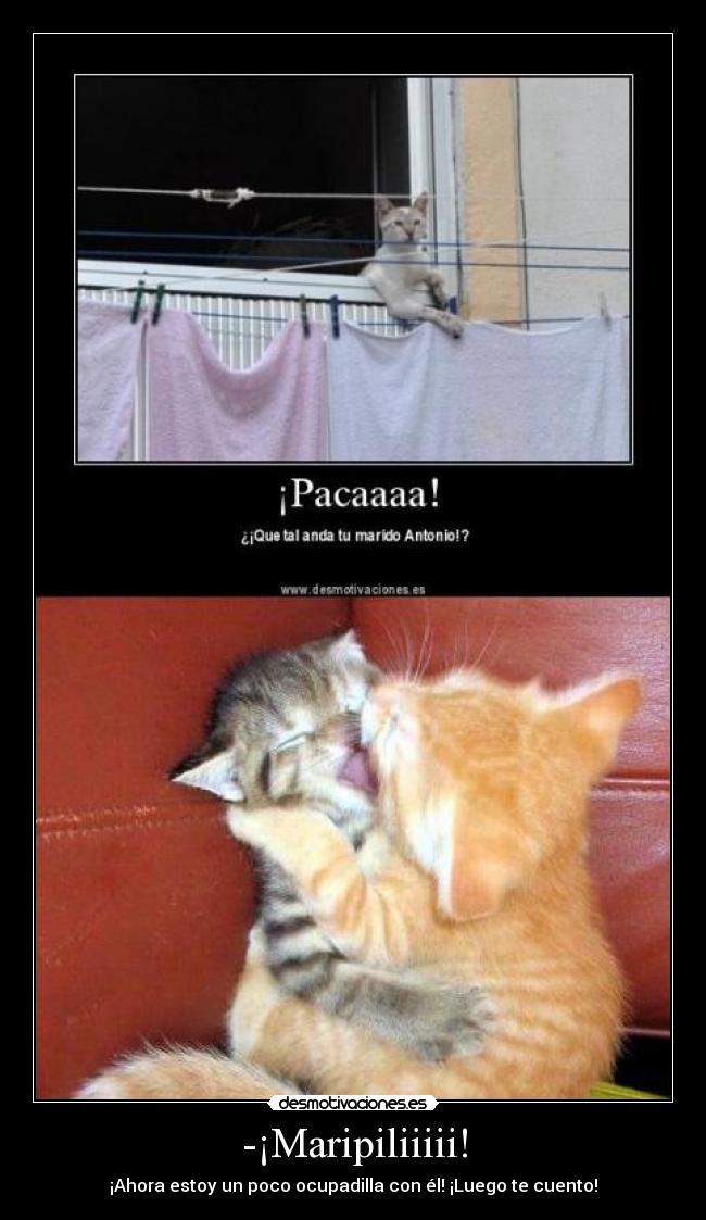 -¡Maripiliiiii! - ¡Ahora estoy un poco ocupadilla con él! ¡Luego te cuento!