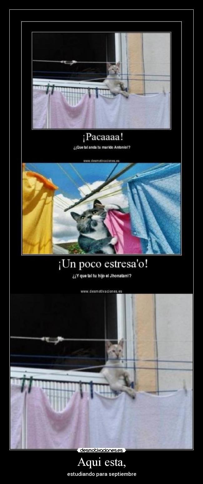 Aqui esta, - estudiando para septiembre