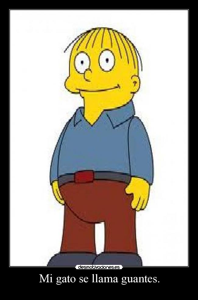 Mi gato se llama guantes. -