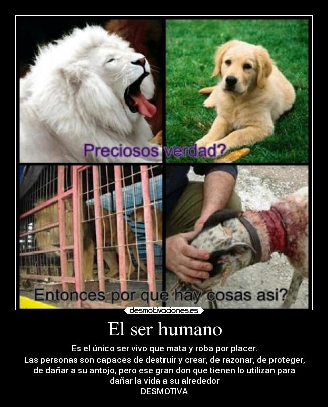 El ser humano - 