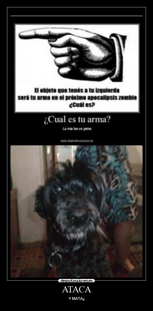 ATACA - Y MATA¡¡