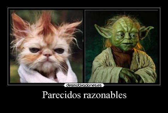 carteles yoda desmotivaciones