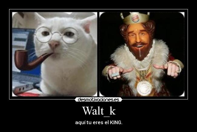 Walt_k - aquí tu eres el KING.