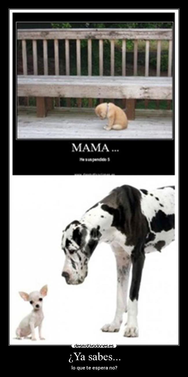 ¿Ya sabes... - 