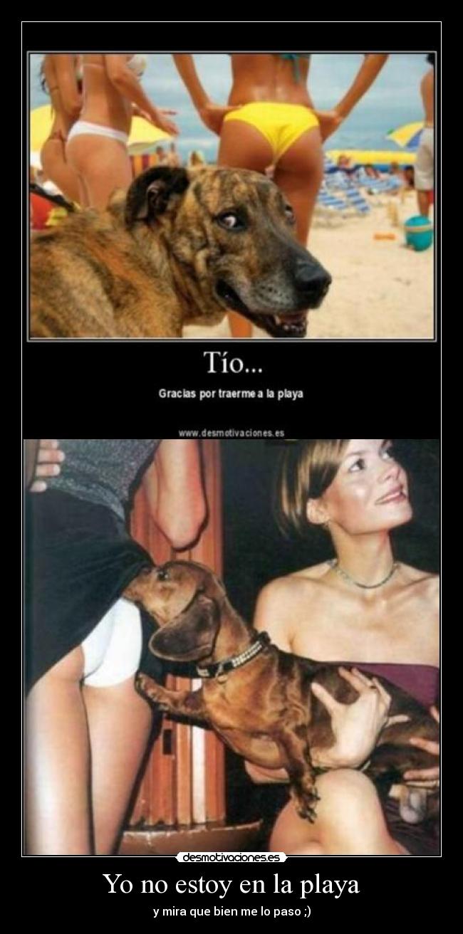 carteles fgtgttg desmotivaciones