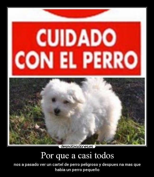 Por que a casi todos -