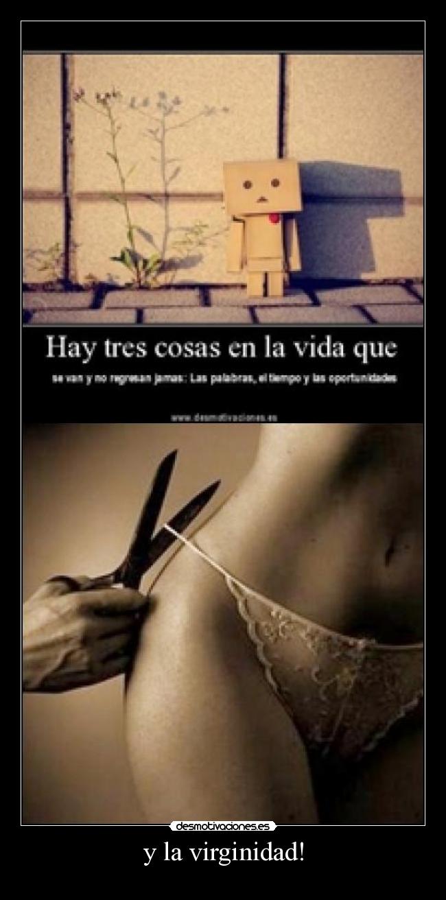 carteles zorrita desmotivaciones