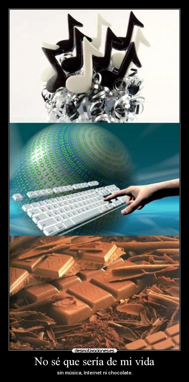 No sé que sería de mi vida - 