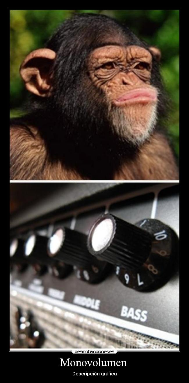 Monovolumen - Descripción gráfica