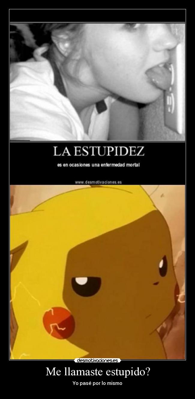 Me llamaste estupido? - 