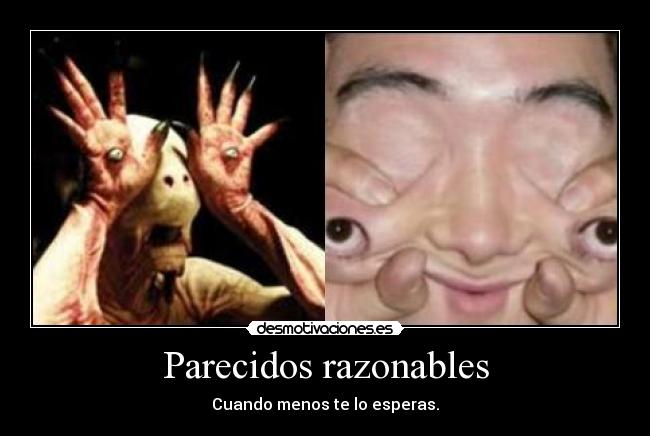 Parecidos razonables -