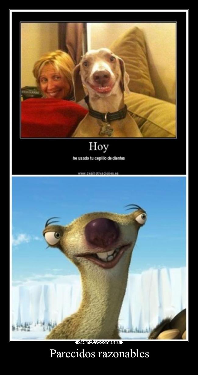Parecidos razonables -