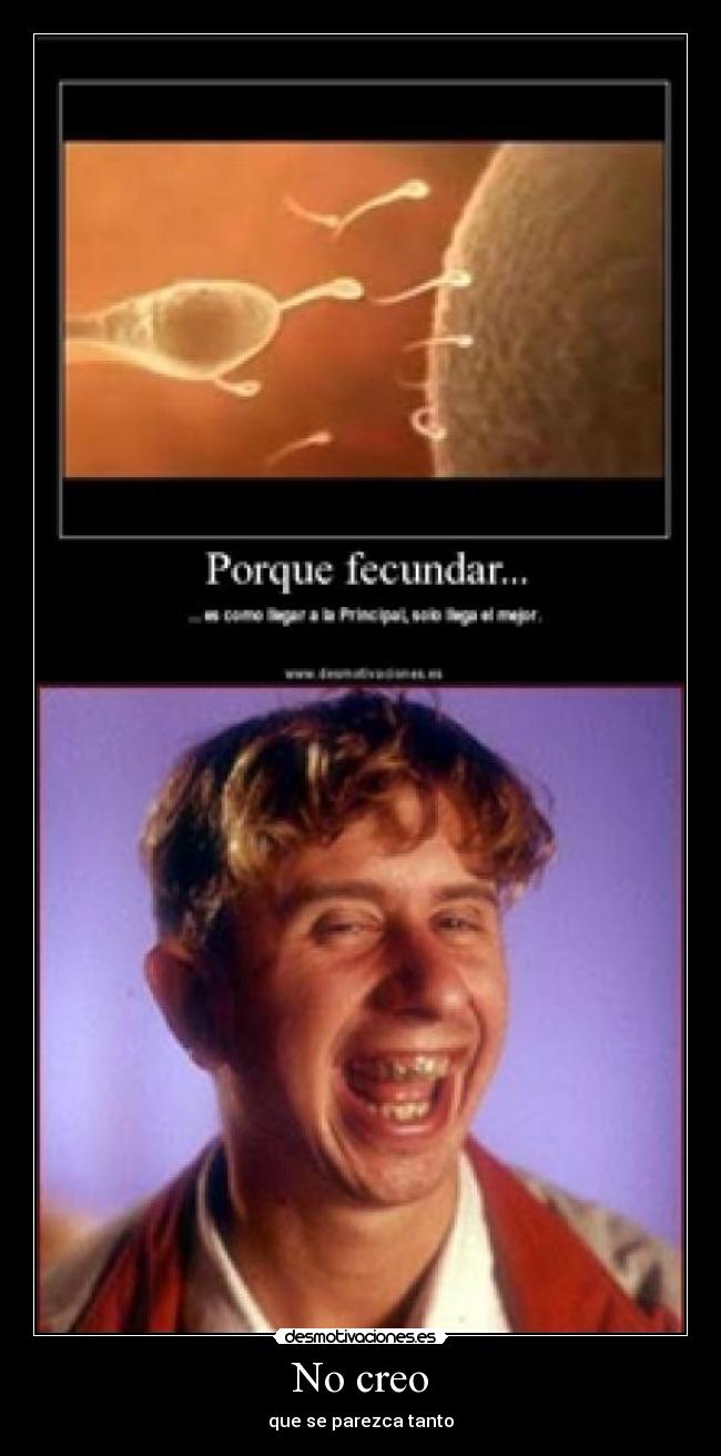 No creo - que se parezca tanto