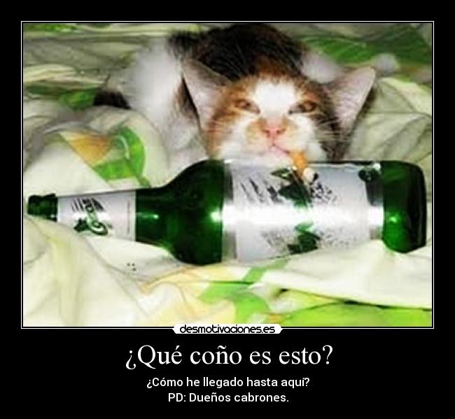 ¿Qué coño es esto? - ¿Cómo he llegado hasta aquí?
PD: Dueños cabrones.