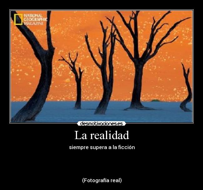 La realidad - siempre supera a la ficción
(Fotografía real)