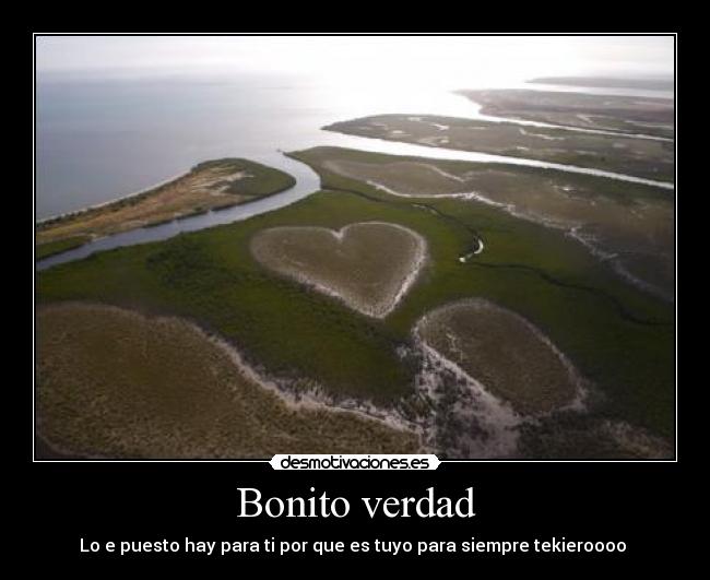 Bonito verdad - 