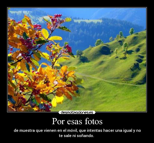 Por esas fotos - de muestra que vienen en el móvil, que intentas hacer una igual y no
te sale ni soñando.