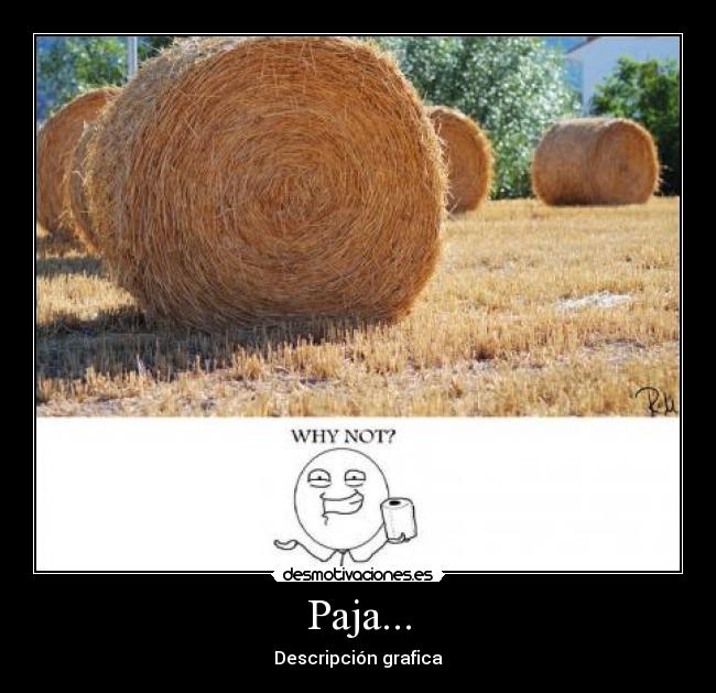 Paja... - Descripción grafica