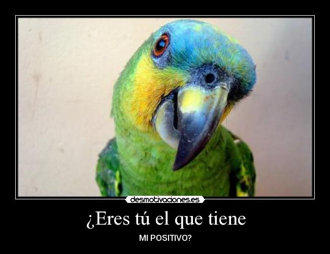 ¿Eres tú el que tiene -