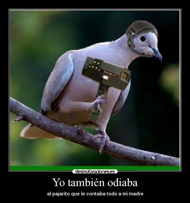 Yo también odiaba - al pajarito que le contaba todo a mi madre