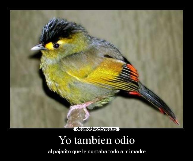 Yo tambien odio - al pajarito que le contaba todo a mi madre