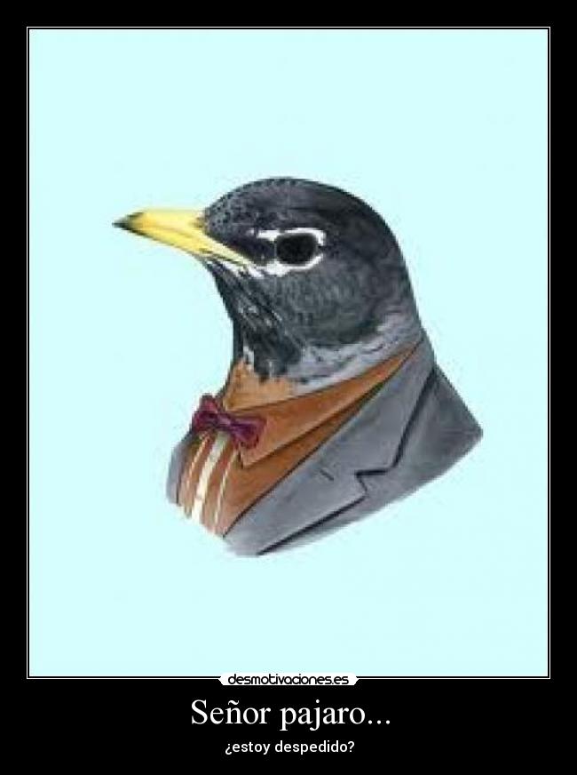 Señor pajaro... - ¿estoy despedido?