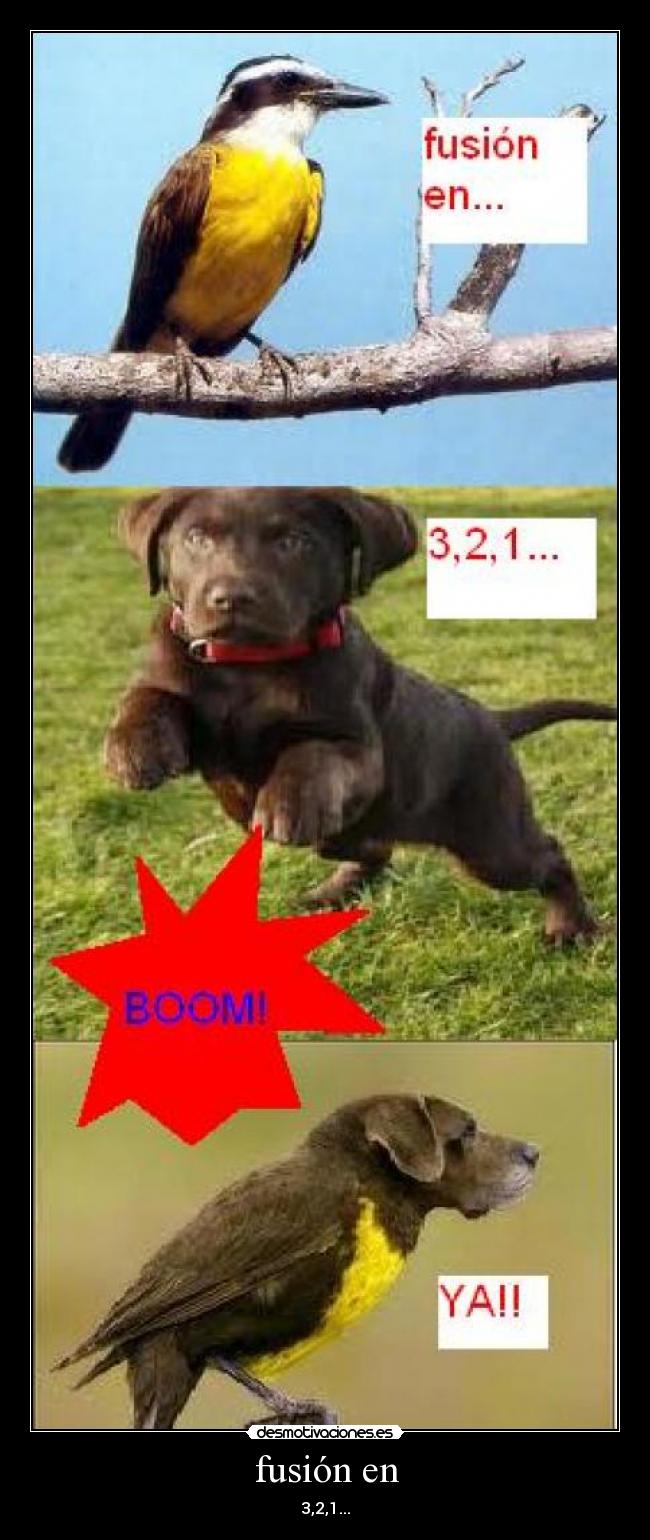 fusión en - 3,2,1...