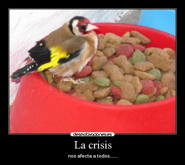 La crisis - 