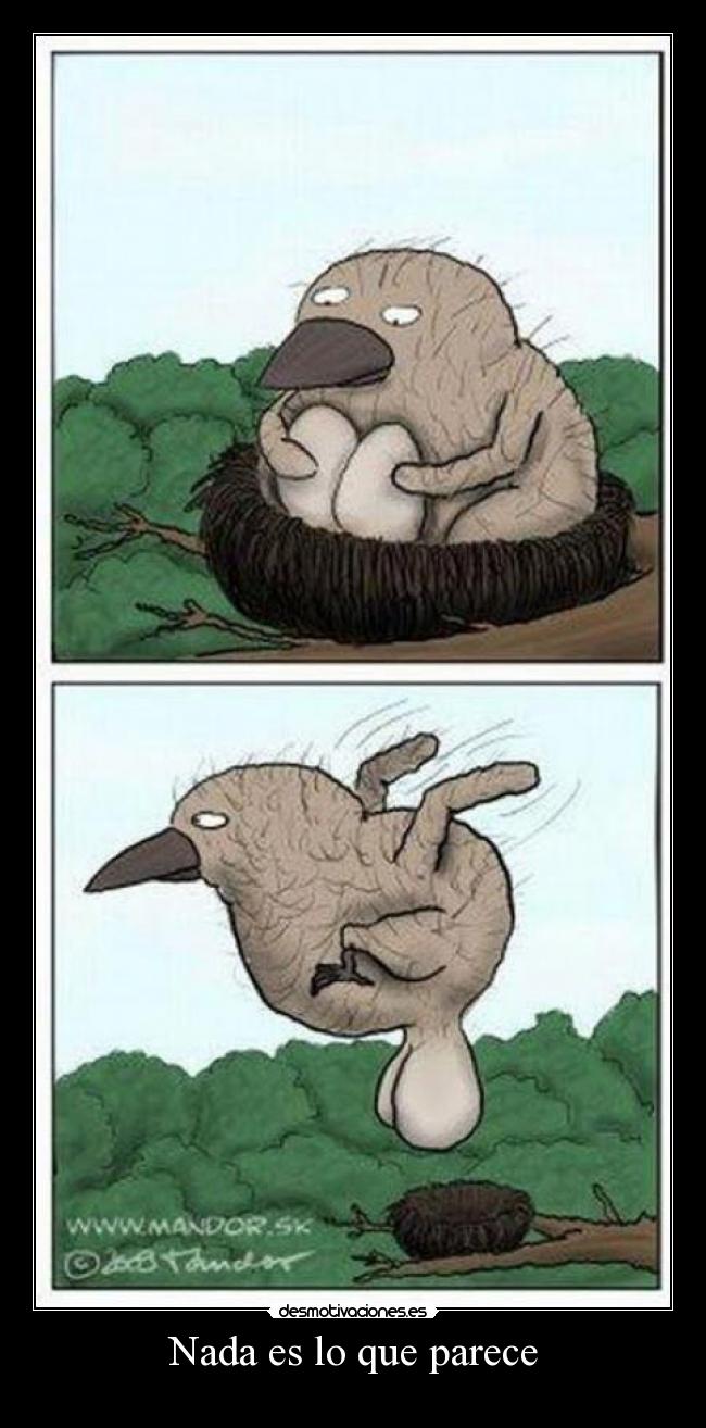 Nada es lo que parece -