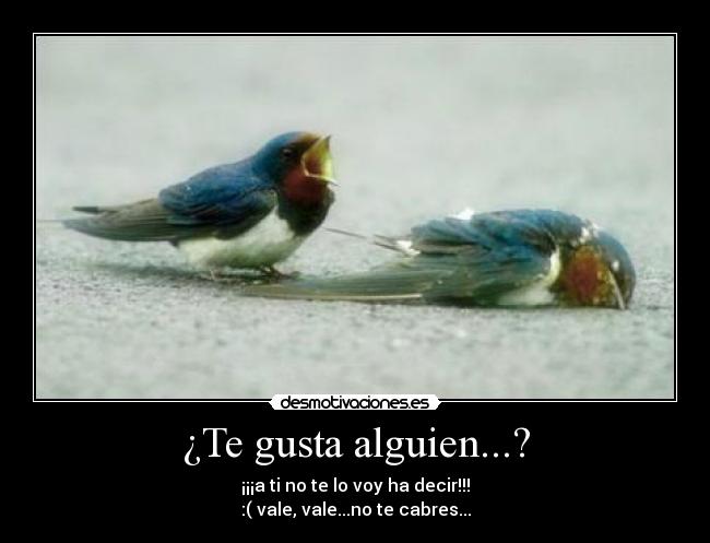 ¿Te gusta alguien...? -