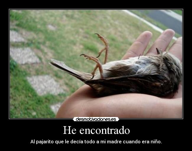 He encontrado - 